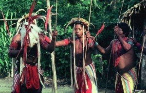 Das-Maedchen-vom-Amazonas