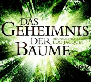 Das-Geheimnis-der-Baeume