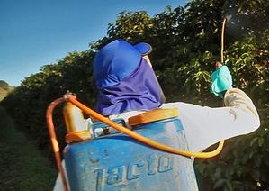 Kaffee-aus-Brasilien