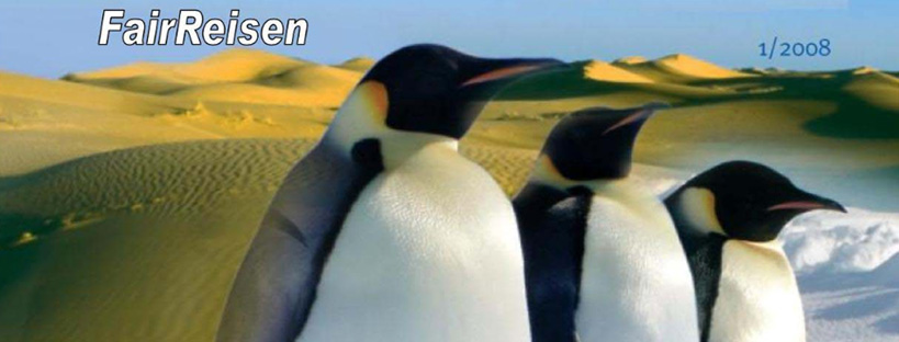 0801-fuge-news-header