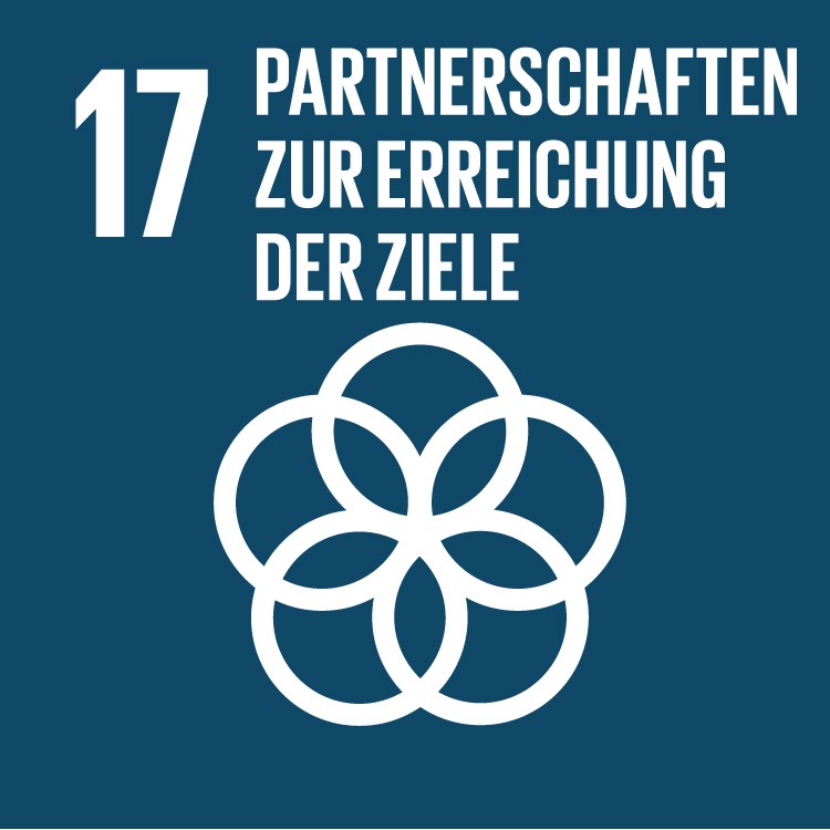 sdg-17-internationale-partnerschaften