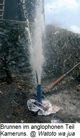 Happy female farmer holding a box with fresh produce