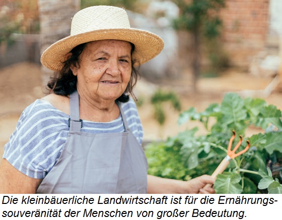 Happy female farmer holding a box with fresh produce