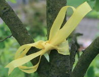 fuge-news-2023-01_s17_gelbes-band