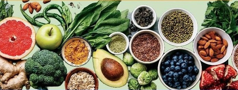 sela-ernaehrung-banner