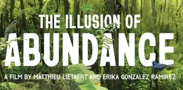 ilusion-of-abundance