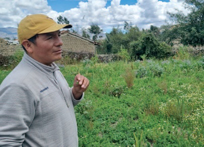 saul-huaraz-garten-neu